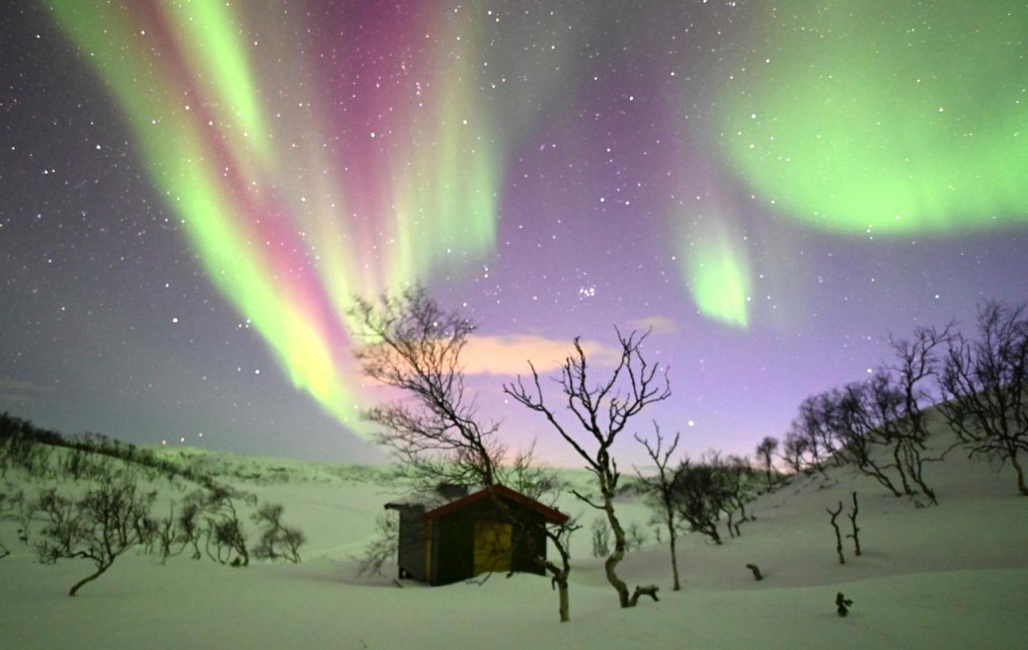 Atte Arstider Lodge Neiden Exteriör bild